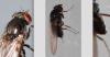 Drosophila sp.